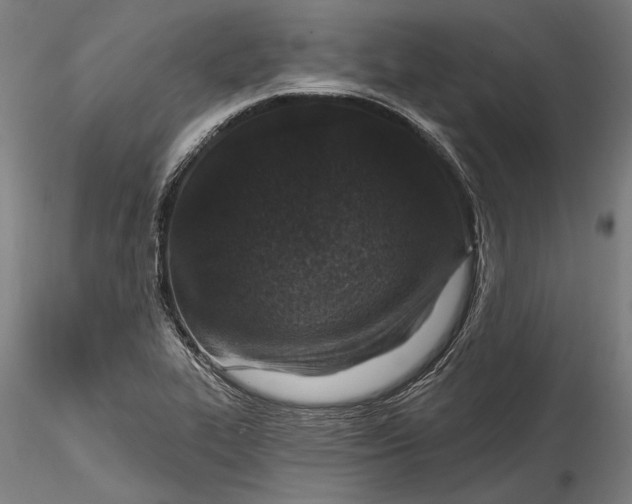 X0000115531319200911271337