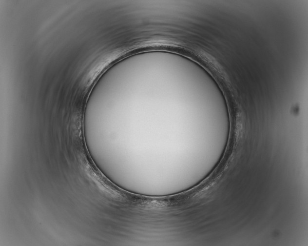 X0000115531321200911271337