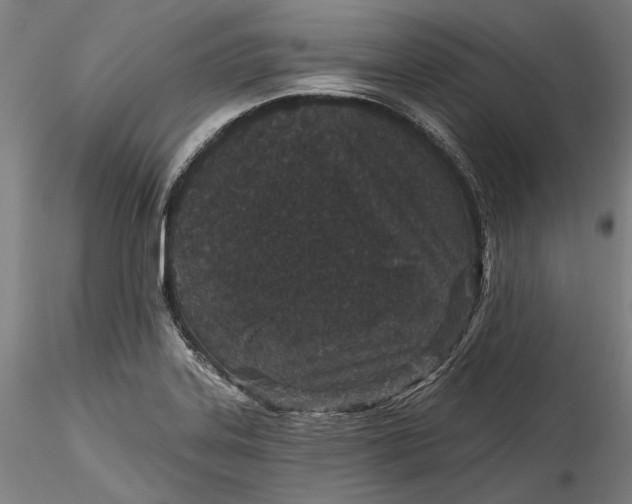 X0000115531323200911271337