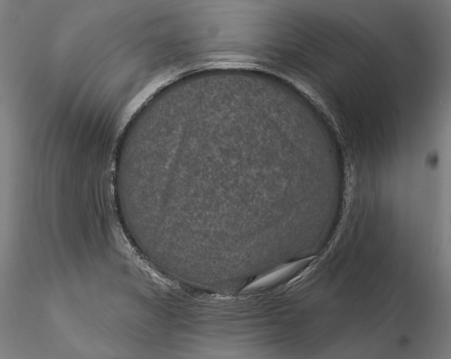 X0000115531325200911271337