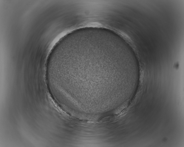 X0000115531326200911271337