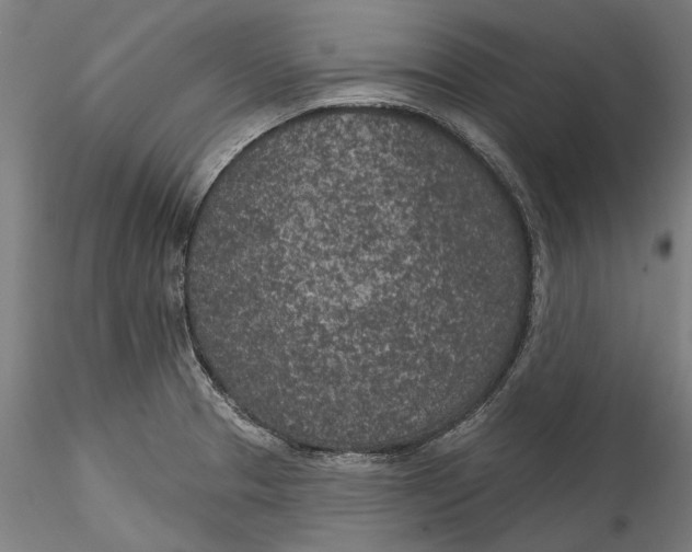 X0000115531329200911271337