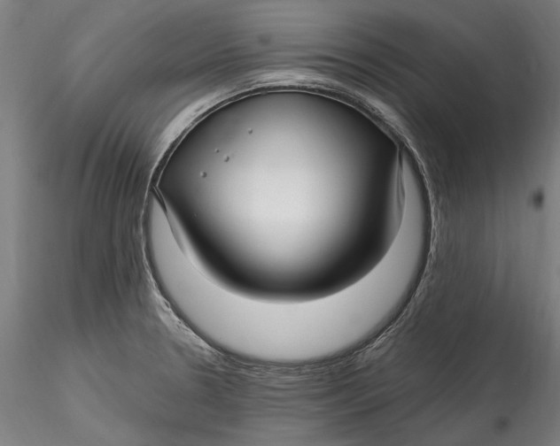 X0000115531330200911271337