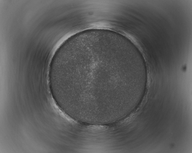 X0000115531331200911271337