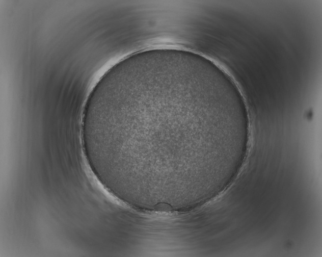 X0000115531333200911271337