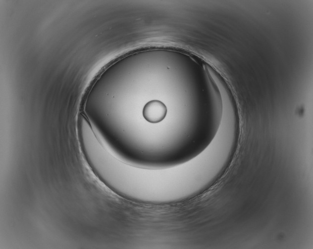 X0000115531334200911271337