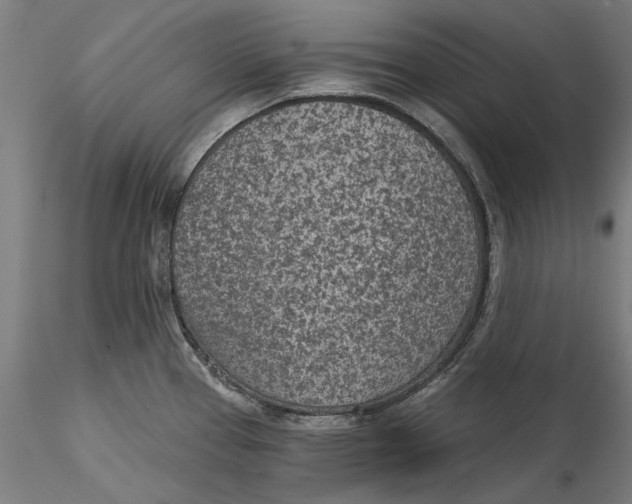 X0000115531337200911271337