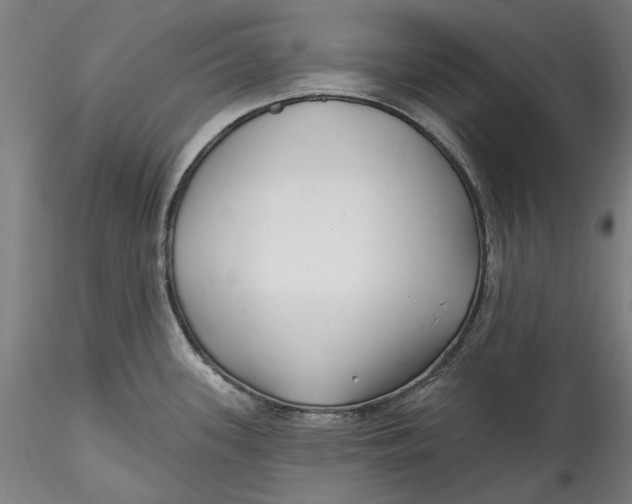 X0000115531339200911271337