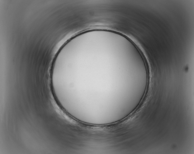 X0000115531341200911271337