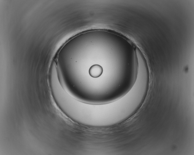 X0000115531342200911271337