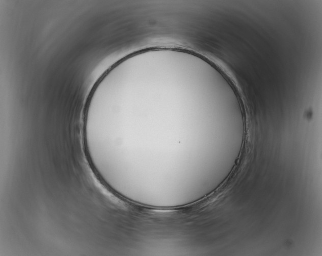 X0000115531343200911271337