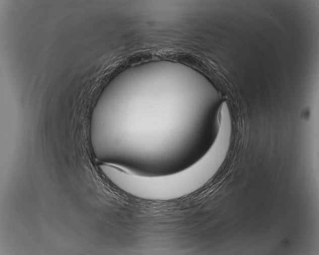 X0000115531345200911271336