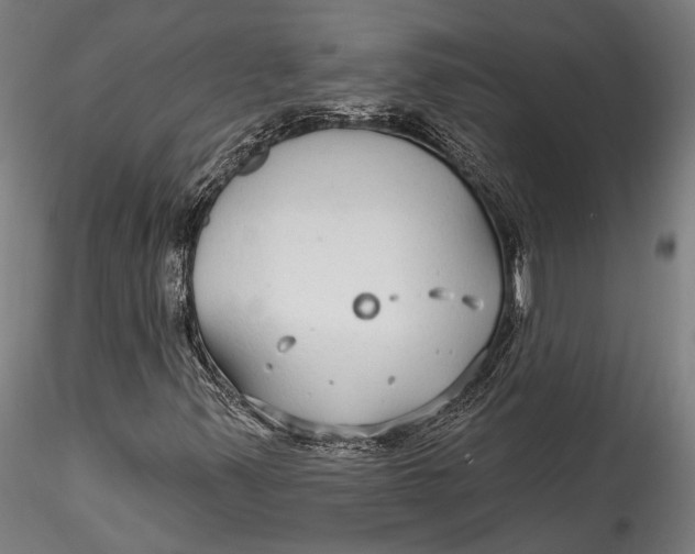 X0000115531347200911271336