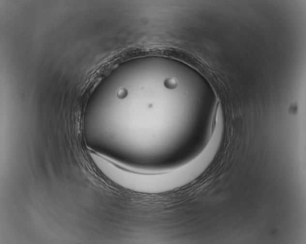 X0000115531348200911271336