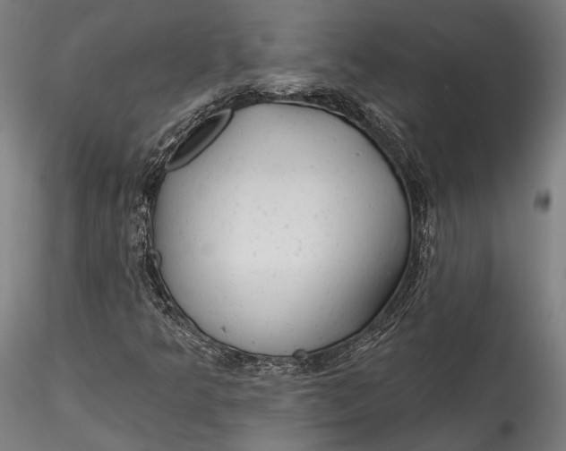 X0000115531349200911271336