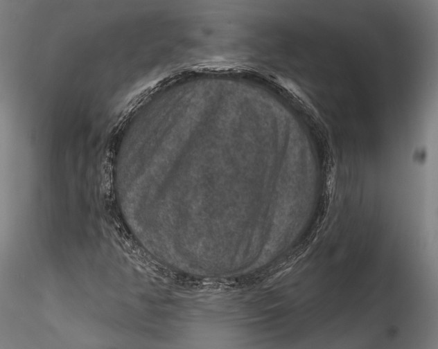 X0000115531350200911271336