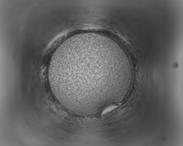 X0000115531351200911271336