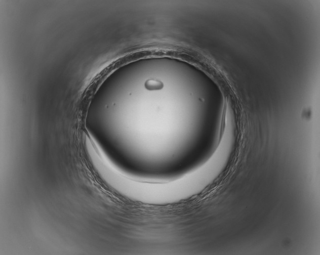 X0000115531352200911271336