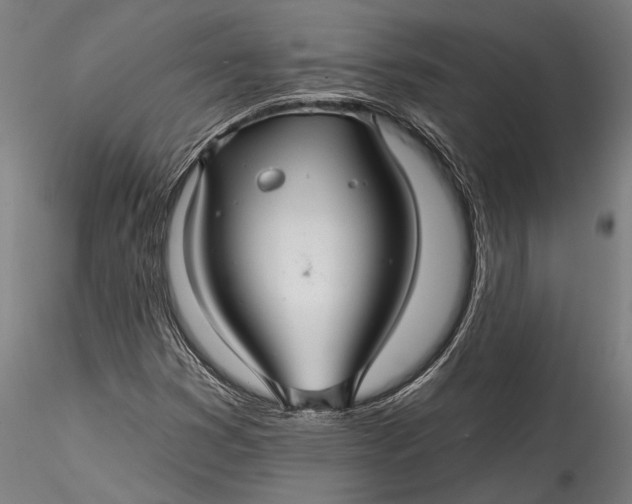 X0000115531353200911271336