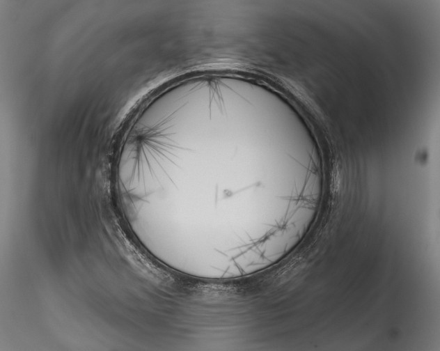 X0000115531356200911271336