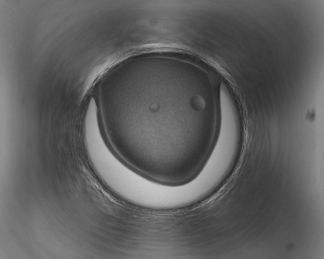 X0000115531357200911271336