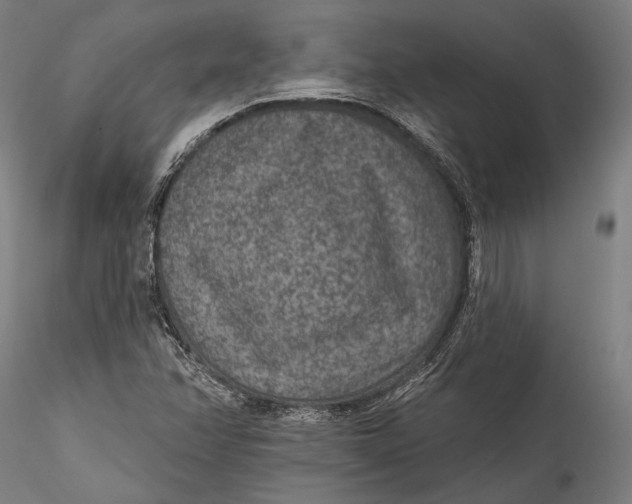 X0000115531358200911271336