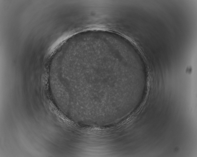 X0000115531359200911271336