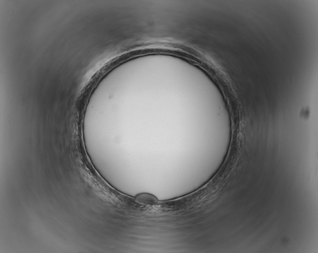 X0000115531360200911271336