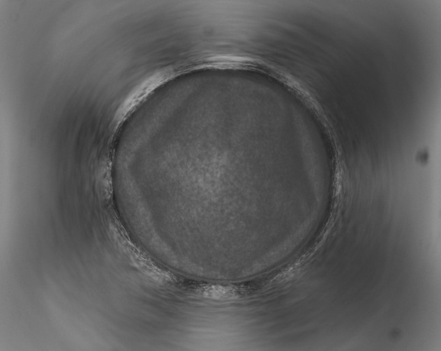 X0000115531362200911271336