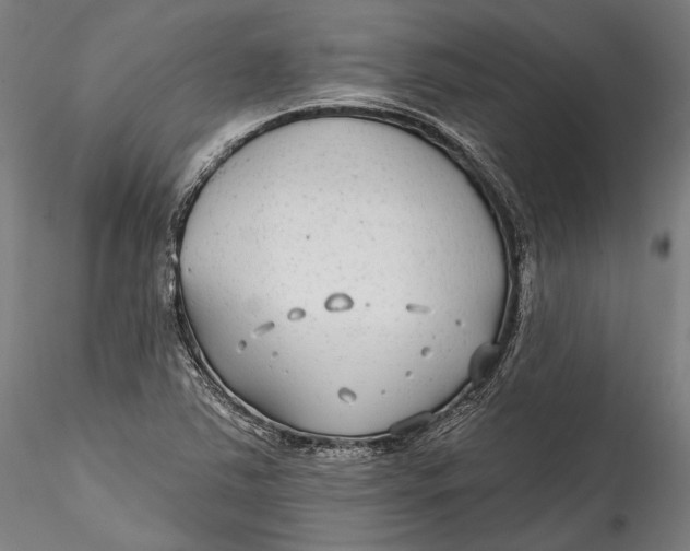 X0000115531363200911271336