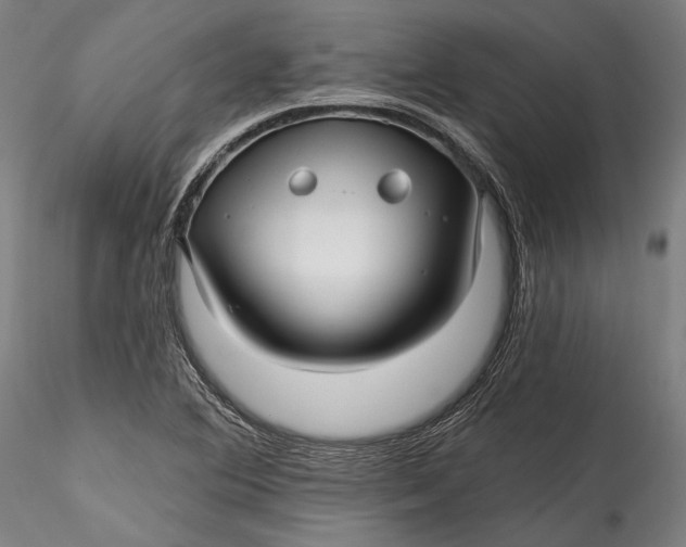 X0000115531364200911271336