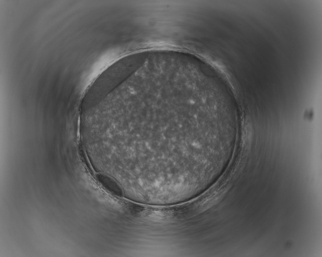 X0000115531365200911271336