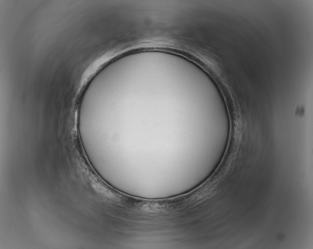 X0000115531366200911271336