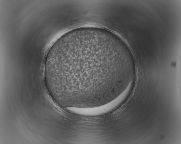 X0000115531367200911271336