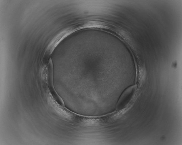 X0000115531369200911271336