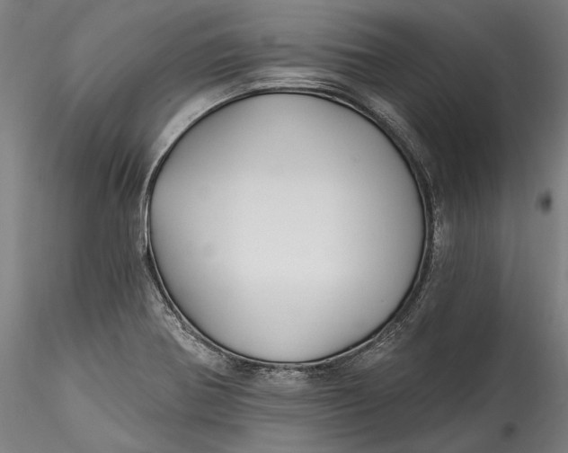 X0000115531370200911271336