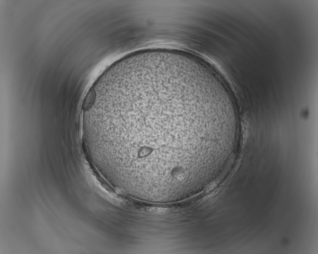 X0000115531371200911271336