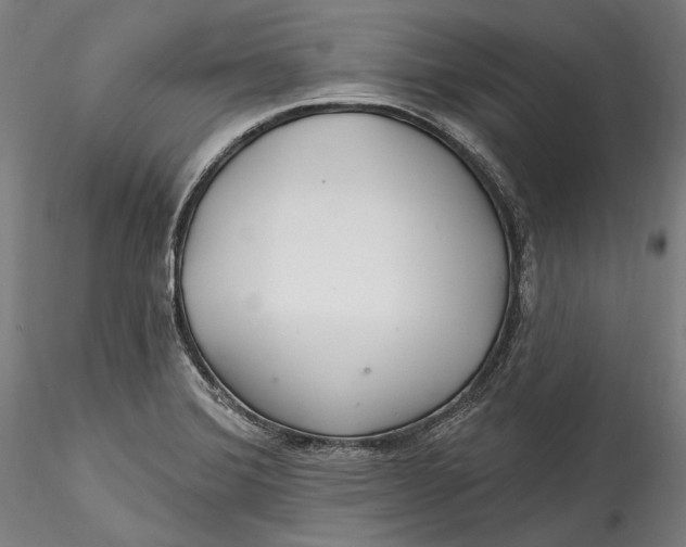 X0000115531372200911271336