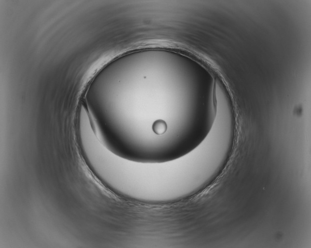 X0000115531373200911271336