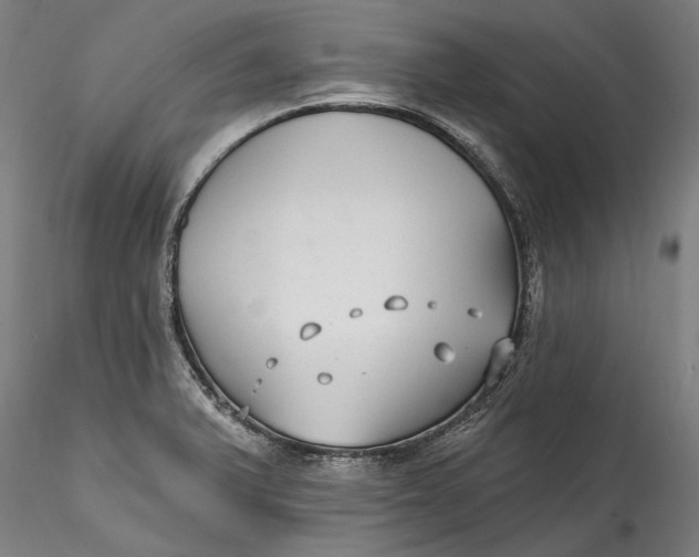 X0000115531375200911271336