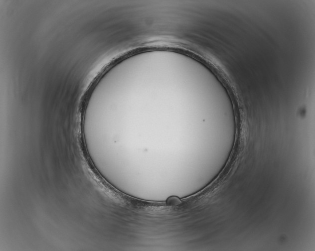 X0000115531376200911271336