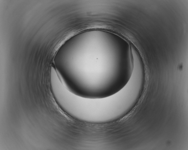 X0000115531377200911271336