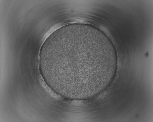 X0000115531378200911271336