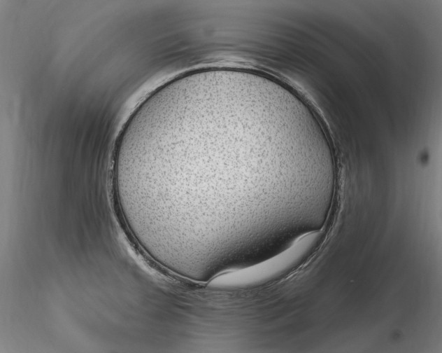 X0000115531379200911271336