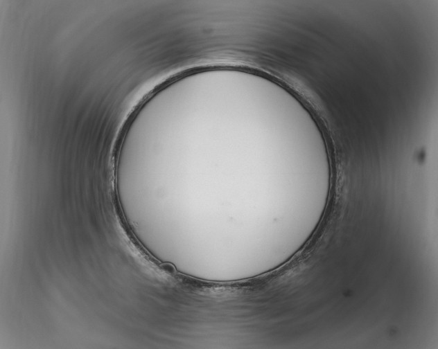 X0000115531380200911271336