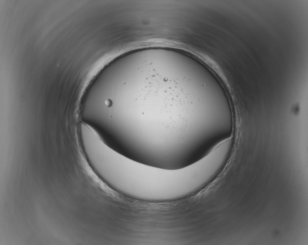 X0000115531381200911271336