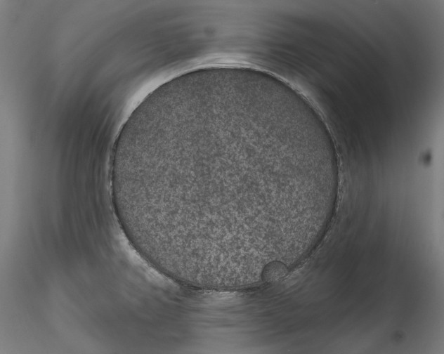 X0000115531382200911271336