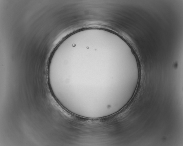 X0000115531384200911271336