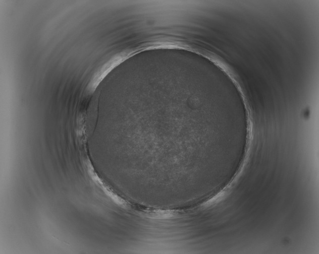 X0000115531385200911271336