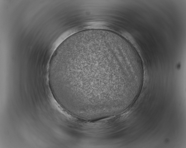 X0000115531386200911271336